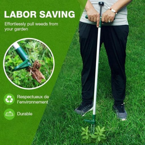 Stovinčių augalų šaknų šalinimo įrankis